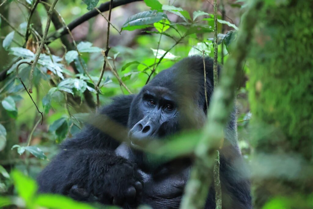 0O8A0224 0O8A0224 1024x683